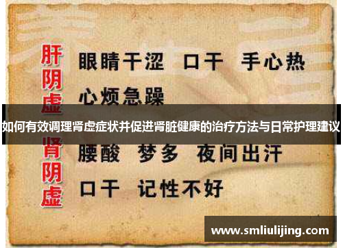 如何有效调理肾虚症状并促进肾脏健康的治疗方法与日常护理建议