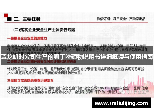 尊龙凯时公司生产的嘛丁啉药物说明书详细解读与使用指南