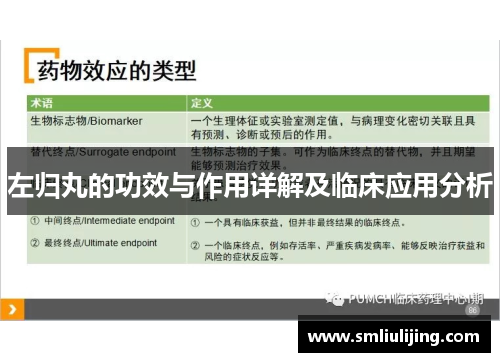 左归丸的功效与作用详解及临床应用分析