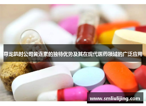 尊龙凯时公司黄连素的独特优势及其在现代医药领域的广泛应用